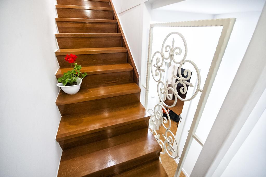 Guest house Tereza 3*