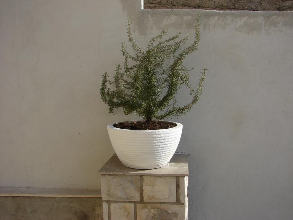 Guest house Monika Dubrovnik