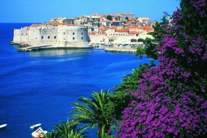 Guest house Mediteran Old Town Dubrovnik