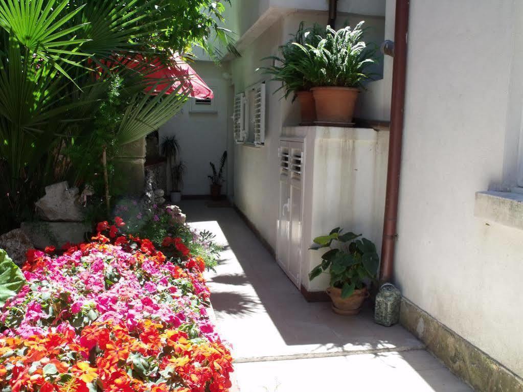 Apartment Plavi Zal *