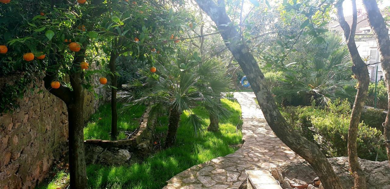 Studio Apartment Simba 3* Dubrovnik
