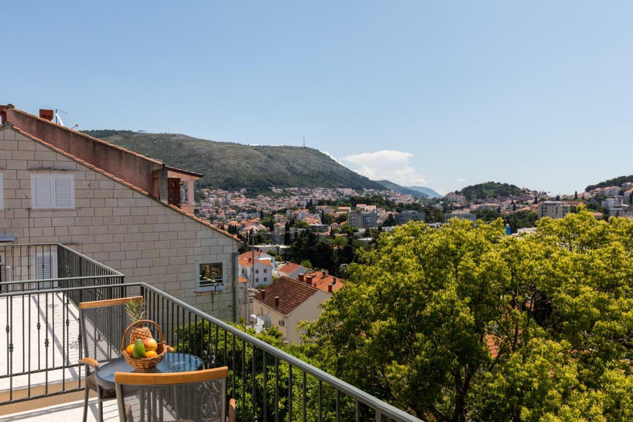 Guest house Begovic 3*