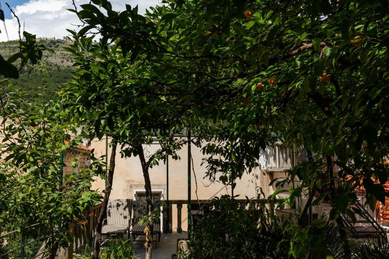 Apartman Jelena Apartment Dubrovnik