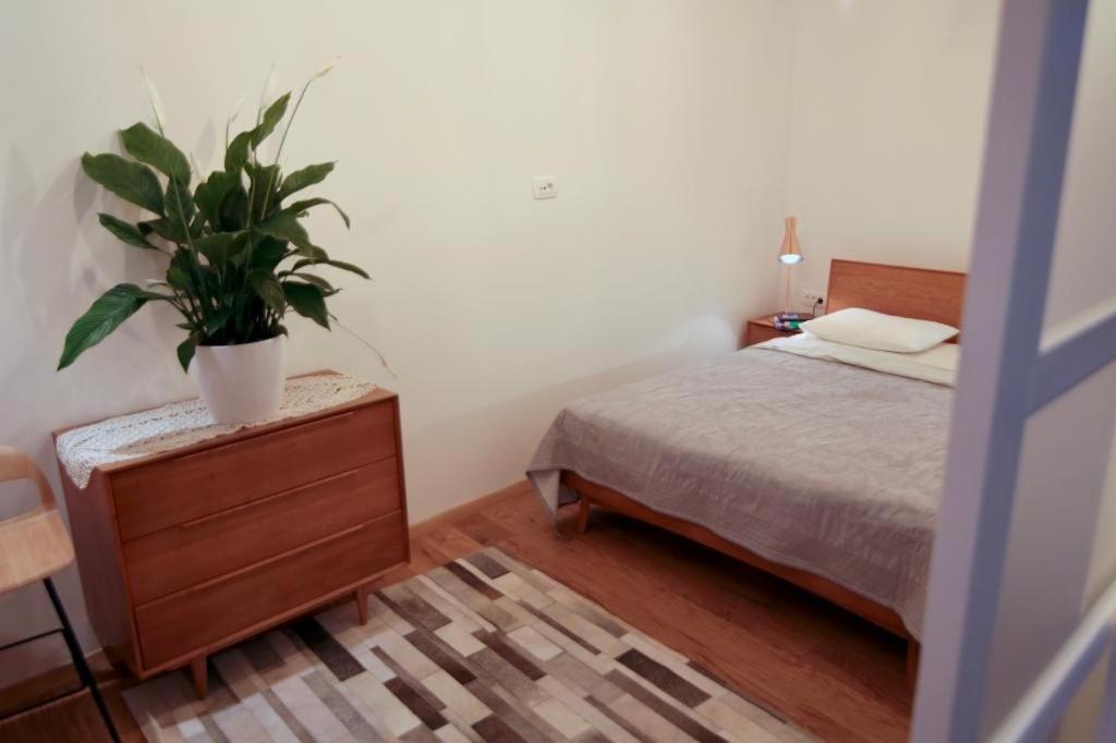 Apartment Cava