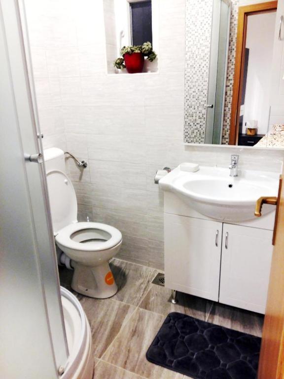 Apartment Martinovic 2