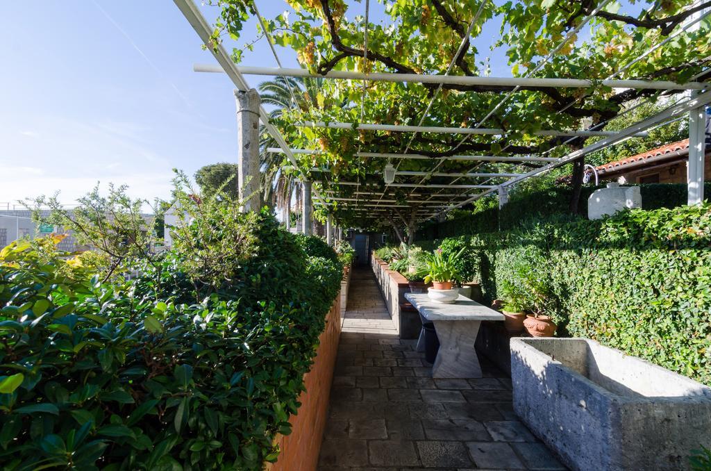 Jelica Guest house 3*