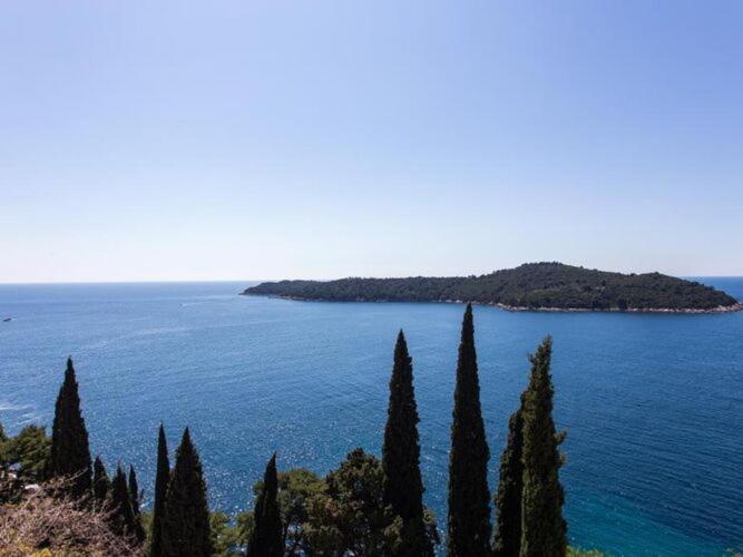 Ari Dubrovnik