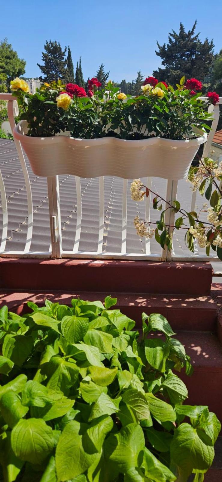 Appartement Afrodita Dubrovnik