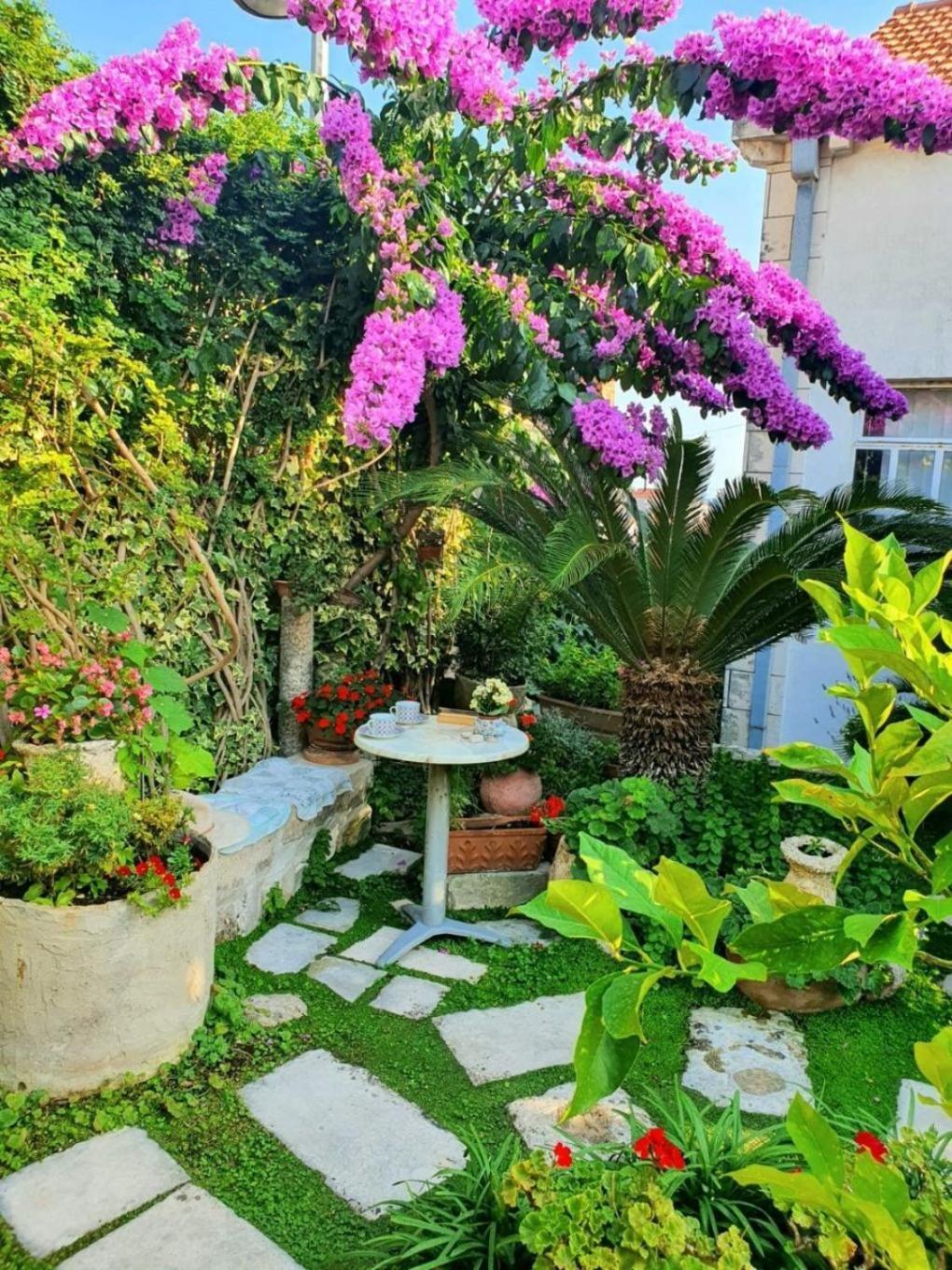 Garden - With A View Guest house Dubrovnik