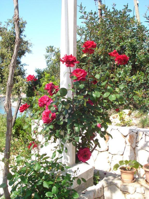 Tri Sestre Guest house Dubrovnik