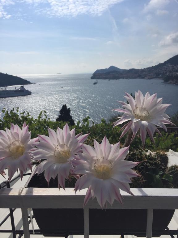 And Sveti Jakov 3* Dubrovnik