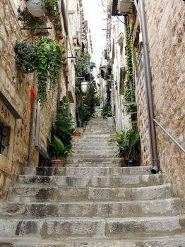 Guest house And Le Petit Nono 4*