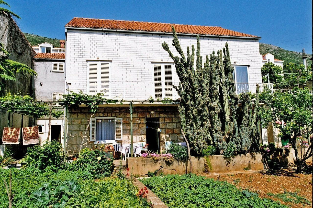 Jele Guest house