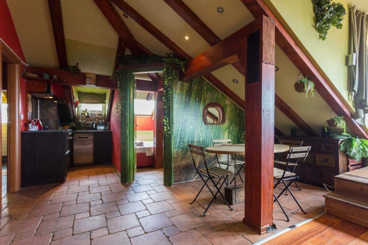 Magic House Apartment